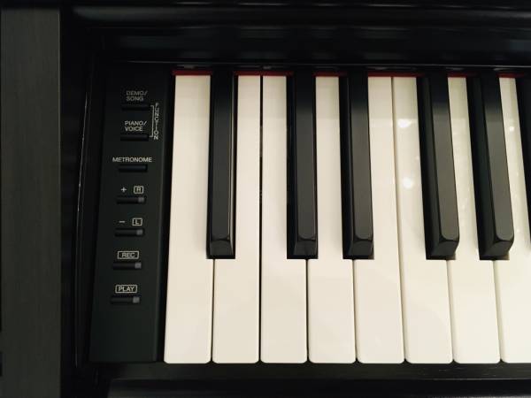 Arius mieten Yamaha Arius YDP-144