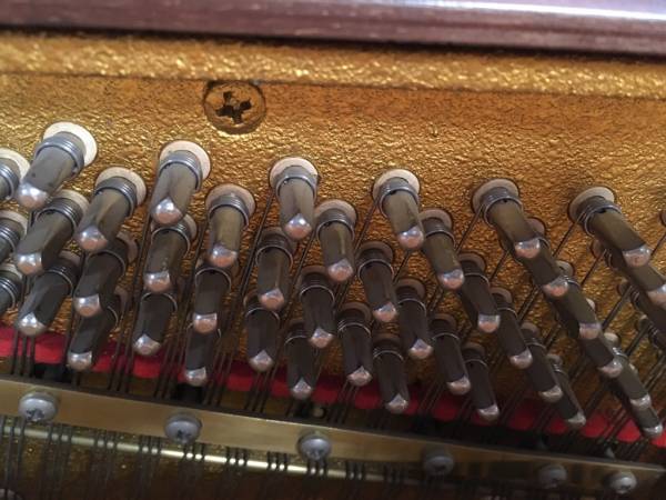 Schimmel Klavier mahagoni satiniert mieten