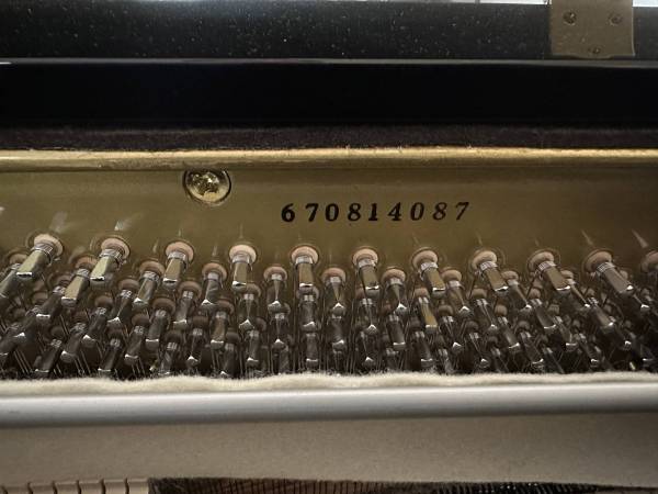 schwarz poliertes Mietpiano Schwechten Essen