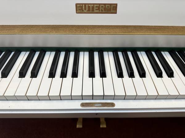 Euterpe Klavier weiss matt mieten