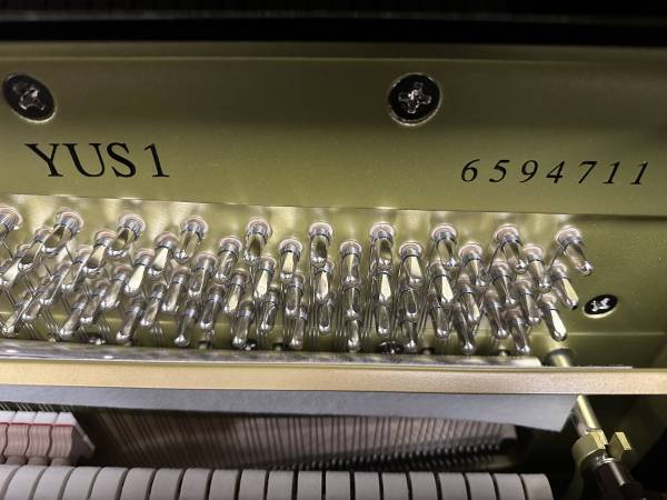 Neuinstrument<br>Yamaha YUS1 schwarz poliert ab – Bild 4