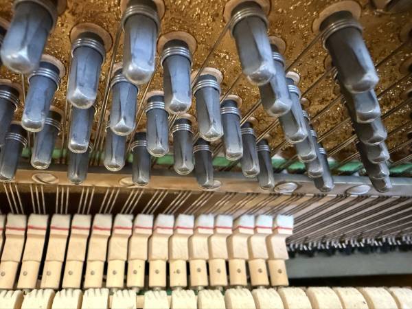 Piano zur Miete Düsseldorf